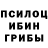 Псилоцибиновые грибы MAGIC MUSHROOMS Vitalik Bondar