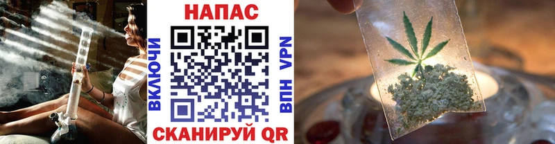 Бошки Шишки гибрид  купить наркоту  Николаевск-на-Амуре 